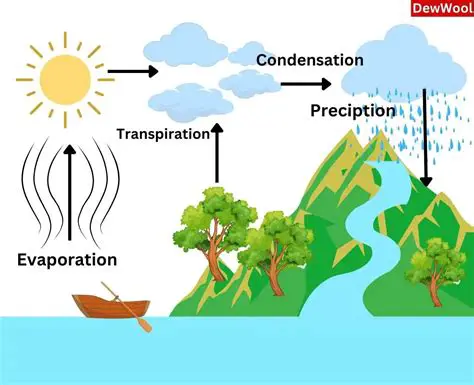 The Movement of Water in the Water Cycle