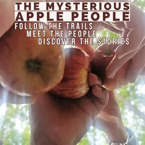The Mysterious Apple Cupboard