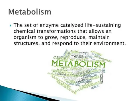 The Myth of Constant Metabolism