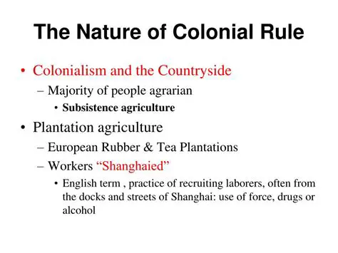 The Nature of Colonial Rule