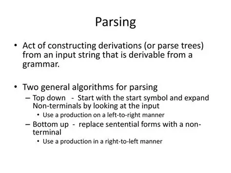 The Need for Custom Argument Parsing and Variable Definition