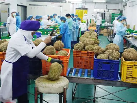 The Need for Innovation in Durian Processing