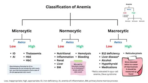 The Need for Objective Anemia Identification