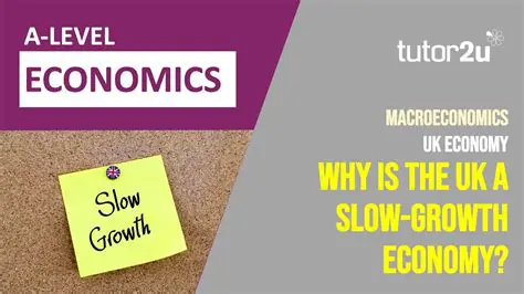 The Need to Slow Down the Economy