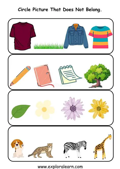 The One That Does Not Belong