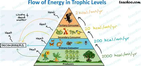 The Order of Increasing Trophic Levels