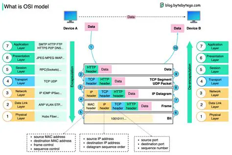 The OSI Model and Encapsulation