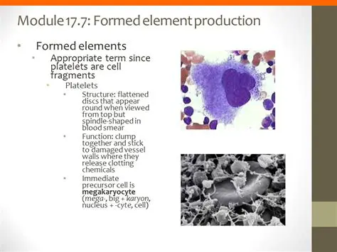 The Pathway to Formed Element Production