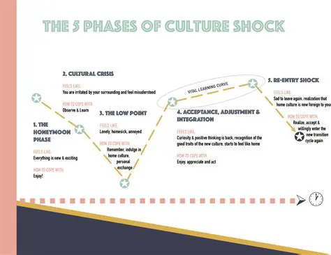 The Phases of Culture Shock