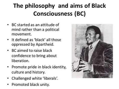 The Philosophy of Black Consciousness