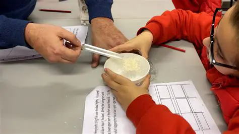 The Physics of a Weather Cock