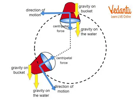 The Physics of Vertical Motion