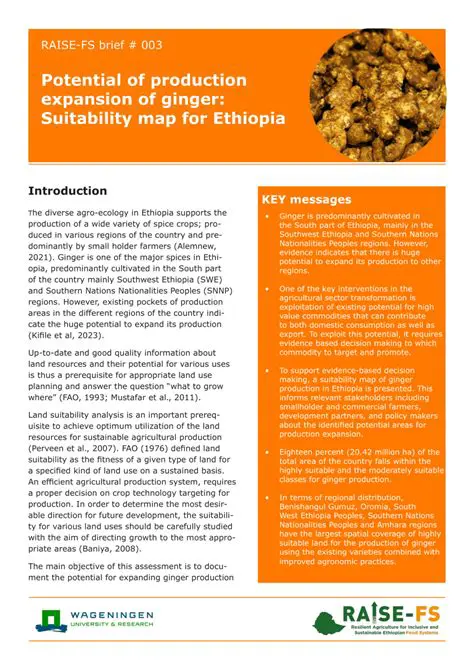 The Potential of Ginger Production in Simalungun