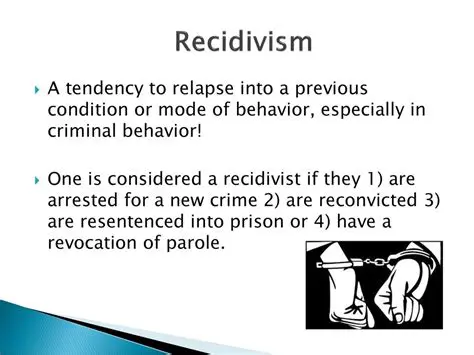 The Prevalence of Recidivism