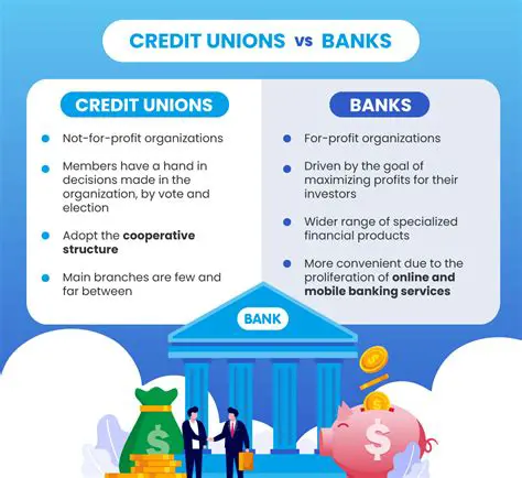 The Primary Function of Banks and Credit Unions