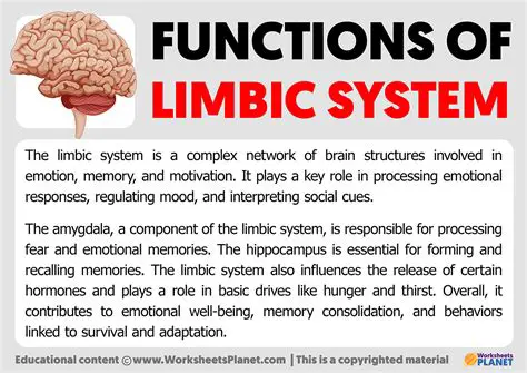 The Primary Function of the Limbic Brain