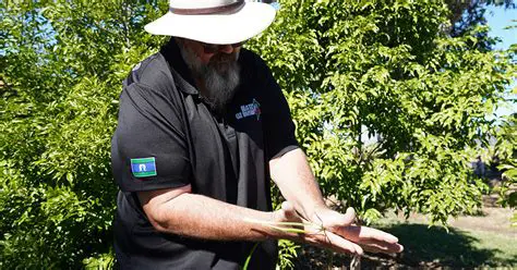 The Primary Motivation of Horticulturalists