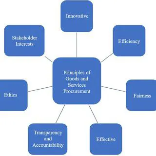 The Principle of Caution in the Procurement of Goods and Services