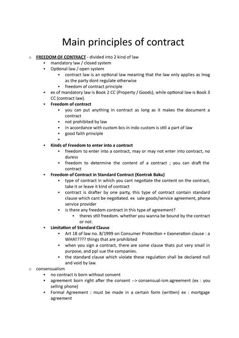 The Principle of Ideal Contract Freedom