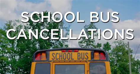The Problem of Bus Cancellations
