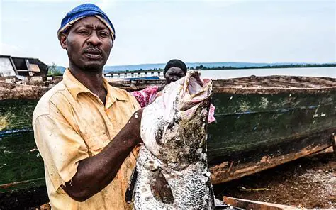 The Problem of Immature Fish Capture