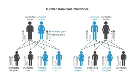 The Problem of Inheritance Proof in Medan