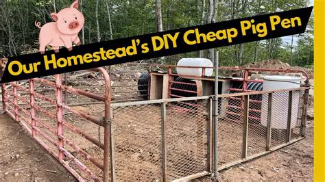 The Problem of Overheating Pig Pens