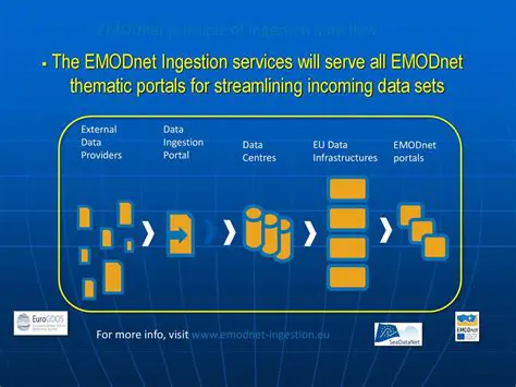 The Problem with External Data Providers