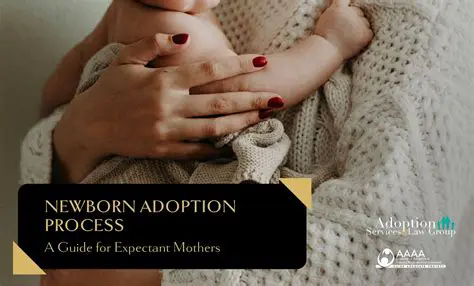 The Process of Adopting a New Constitution