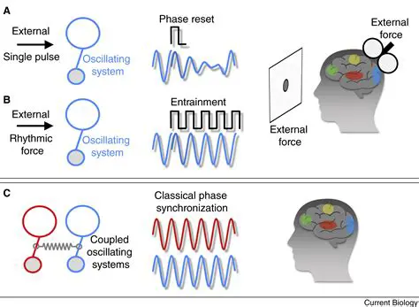 The Process of Entrainment