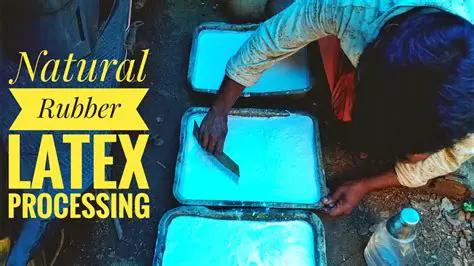 The Process of Latex Production