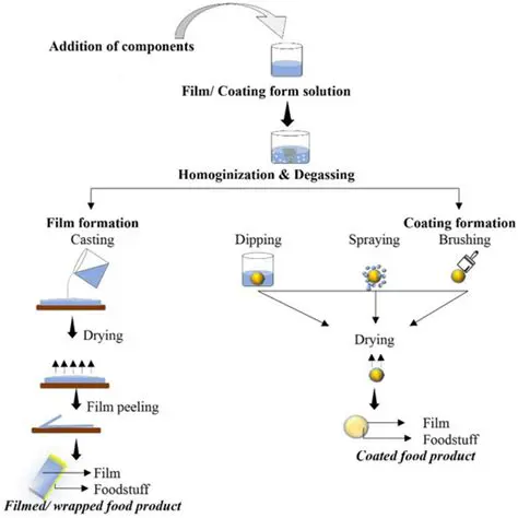 The Process of Making Edible Films