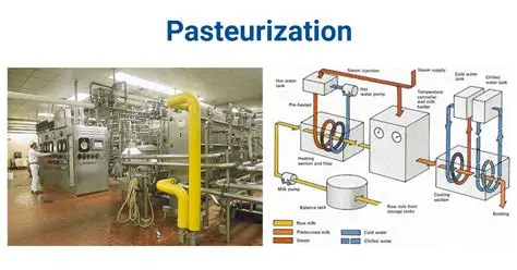 The Process of Pasteurization