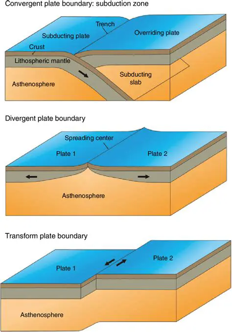 The Process of Tectonic Plate Movement