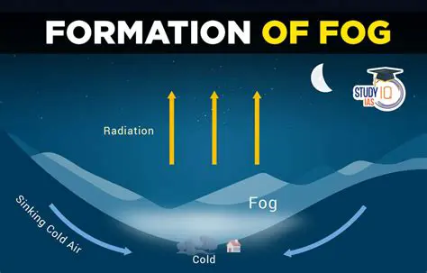 The Process of Valley Fog Formation