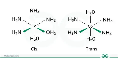 The Properties of Optically Pure Enantiomers