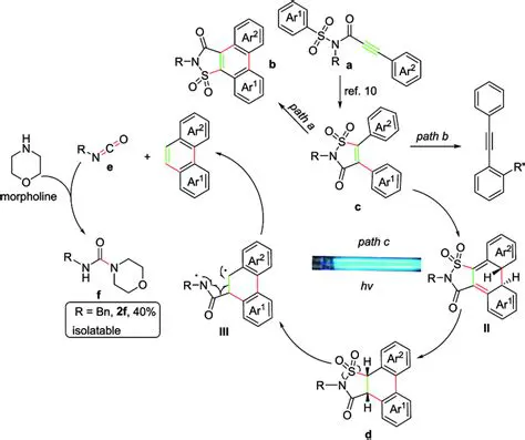 The Proposed Reaction Mechanism