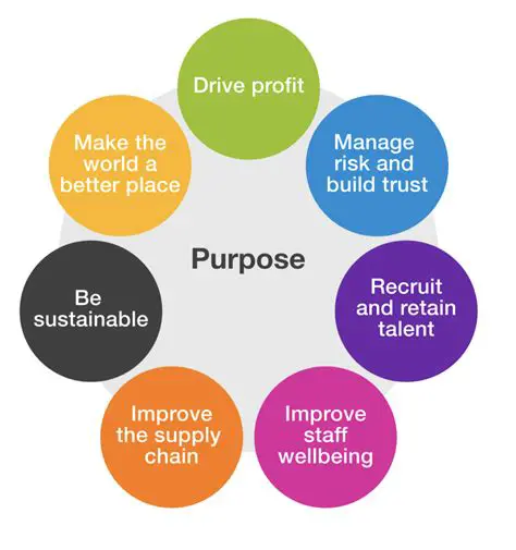 The Purpose of Company Management