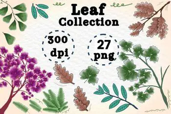 The Purpose of Leaf Collection