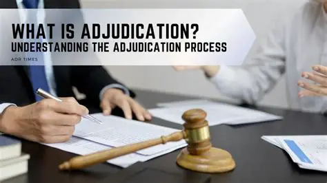 The Purpose of Requested Adjudication