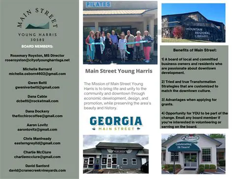 The Purpose of the Main Street Program