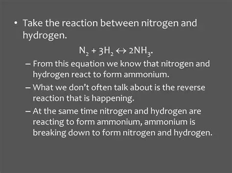 The Reaction Between Nitrogen and Hydrogen