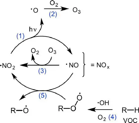 The Reaction of NOx with VOCs