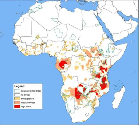 The Reality of Poaching in Eastern Africa