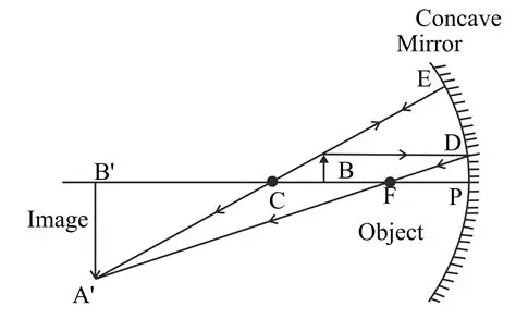 The Relationship Between Mirror Size and Image Size