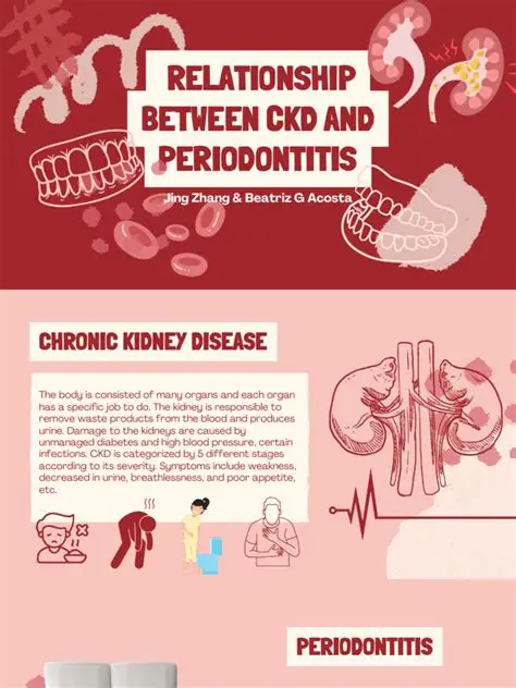 The Relationship Between Periodontal Disease and Chronic Kidney Disease