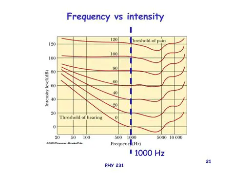 The Relationship Between Sound Intensity and Frequency