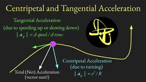 The Relationship Between Speed and Centripetal Acceleration