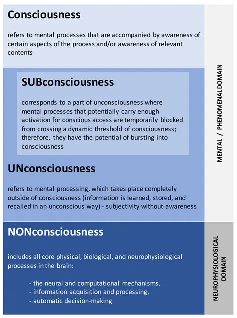 The Relationship Between the Conscious and Unconscious Levels