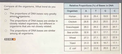 The Relative Proportions of DNA Bases